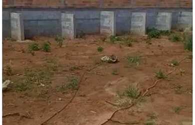 Imagem: O terreno possui 1.000m² de Área e está localizado em Setor