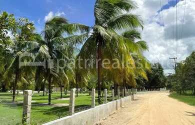 Imagem 3: Terreno 40.000 m² por R$ 310.000 Estrada das Patacas, distrito Jacauna...