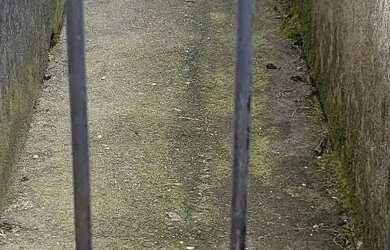 Imagem: A casa possui 2 Dormitórios, 1 Banheiro e está localizado