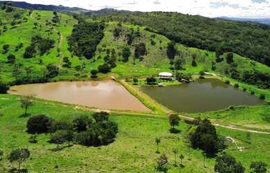 Imagem 2: Fazenda de 57 alqueires. 1m² de Área
