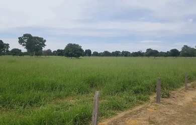 Imagem 12: Excelente Fazenda de 1.500 Hectares em Montes Claros Minas Gerais