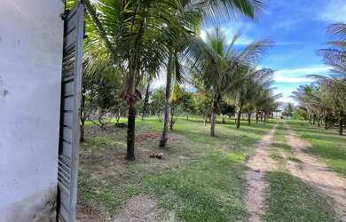 Imagem 9: Sitio 13 ha Porteira Fechada