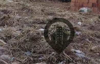 Imagem 2: TERRENO A VENDA NO JARDIM LETICIA, CAMPO GRANDE 128,00 M²