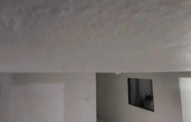 Imagem 10: ALUGA-SE CASA NA TERRA FIRME