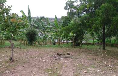 Imagem 9: Fazenda na Guaiúba 23 hectares,grandes açudes, fruteiras, 56 km de Fortaleza