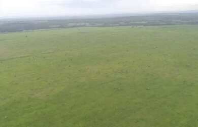 Imagem 4: Felixlândia - Fazenda de 5.013 hectares - R$120.000.000,00