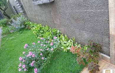 Imagem 11: Casa (térrea na rua) 2 dormitórios