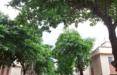 Imagem 2: Lindo apartamento na Ilha do Governador - Portuguesa