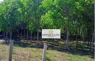 Imagem: A fazenda possui 1000m² de Área e está localizado em Montividiu