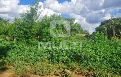 Imagem 4: Terreno - MORADA DOS PASSAROS