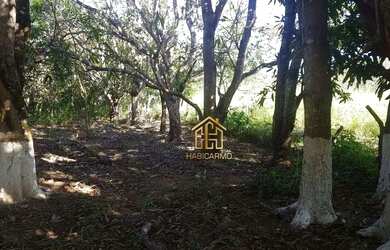 Imagem 10: Fazenda com 3 dormitórios à venda, 4888840 m² por R$ 15.800.000,00...