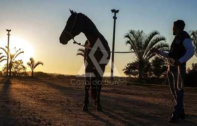 Imagem: O terreno possui 2.018m² de Área e está localizado em Loteamento