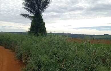 Imagem 8: fazenda na região da cidade de franca no estado de São Paulo
