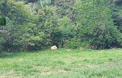 Imagem 1: Belo terreno a venda na Avenida Santana em Atibaia