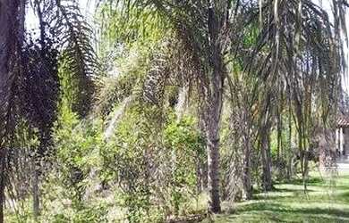 Imagem 15: Chácara 2.000m² c/ linda casa, em Vilatur, c/ escritura