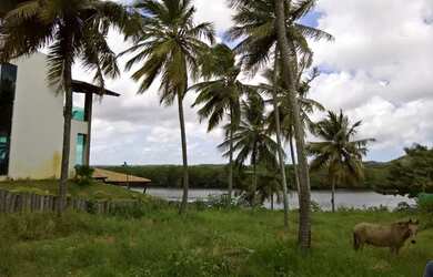 Imagem 5: , Porto Belo / lote frente Rio