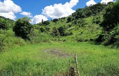 Imagem: FAZENDA A VENDA JOANESIA