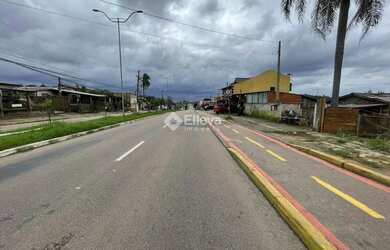 Imagem 4: Terreno à Venda - Santa Cruz