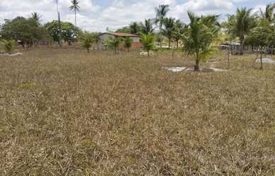 Imagem 2: Sitio à venda. 