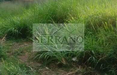 Imagem 2: Terreno à venda em Vista Alegre, Vinhedo-SP: 750m² de oportunidade imperdível!