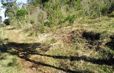 Imagem 5: SÍTIO À VENDA VÁRZEA GRANDE - GRAMADO/RS