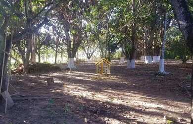 Imagem 9: Fazenda com 3 dormitórios à venda, 4888840 m² por R$ 15.800.000,00...