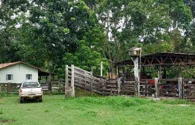 Imagem: A fazenda está localizado em Plano Diretor Norte, Palmas à