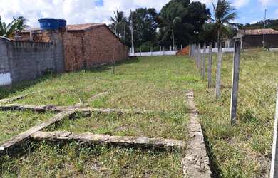 Imagem 3: Medindo 10x40 Terreno no povoado Salvadorzinho ouro fino