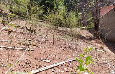 Imagem: O terreno possui 1000m² de Área e está localizado em Chácara
