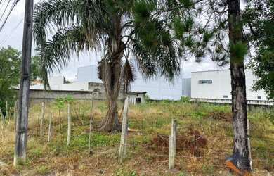 Imagem 3: Terreno à venda, 450 m² por R$ 389.900,00 - Areias - São José/SC