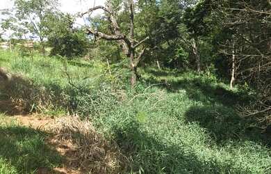 Imagem 5: Lote/Terreno para venda tem 1000 metros quadrados