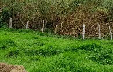 Imagem: A fazenda possui 20.000m² de Área e está localizado em Mateus