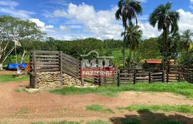 Imagem 2: Fazenda 36 alquieres 174,24 hectares Edealina - Go