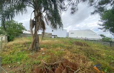 Imagem 10: Terreno à venda, 450 m² por R$ 389.900,00 - Areias - São José/SC