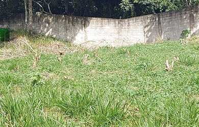 Imagem 7: Belo terreno a venda na Avenida Santana em Atibaia