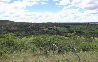 Imagem: A chácara está localizado em Jaboticatubas, MG à venda por