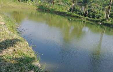 Imagem: A chácara possui 8.000m² de Área e está localizado em Boca