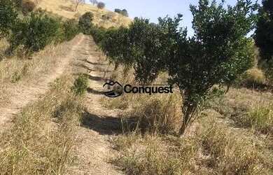 Imagem 4: Vendo Fazenda de 36 hectares com muita agua na Cidade de Moeda