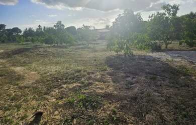 Imagem 4: VENDO TERRENO NAS CAPOEIRAS