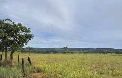 Imagem 6: A M IMOVEIS VENDE EXELENTE FAZENDA EM CABECEIRA GRANDE ESCRITURADA