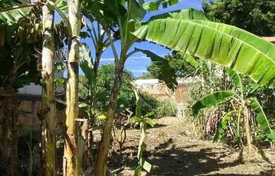 Imagem 7: Terreno em Guaratiba. 360m² de Área