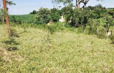 Imagem 7: Sitio Morro Vermelho Pinheiro Alto