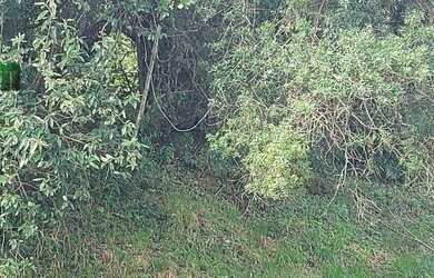 Imagem 12: Belo terreno a venda na Avenida Santana em Atibaia