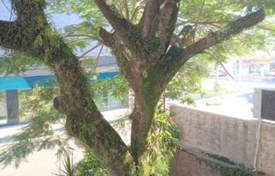 Imagem: Casa para alugar, 200 m² por R$ 10.474,00/mês - Centro - São