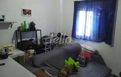 Imagem 15: São Paulo - Apartamento Padrão - Tucuruvi