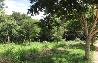 Imagem 4: Lote/Terreno para venda tem 1000 metros quadrados