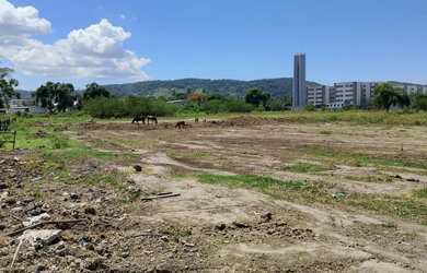 Imagem 10: Lotes de terreno em Paciência