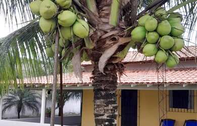 Imagem 8: CASA EM SALINÓPOLIS/PA. Piscina, Varanda, 1m² de Áreae1 Vaga na garagem