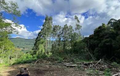 Imagem 8: Área - Bairro Linha São Paulo