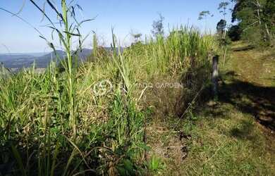 Imagem 13: SÍTIO À VENDA VÁRZEA GRANDE - GRAMADO/RS
